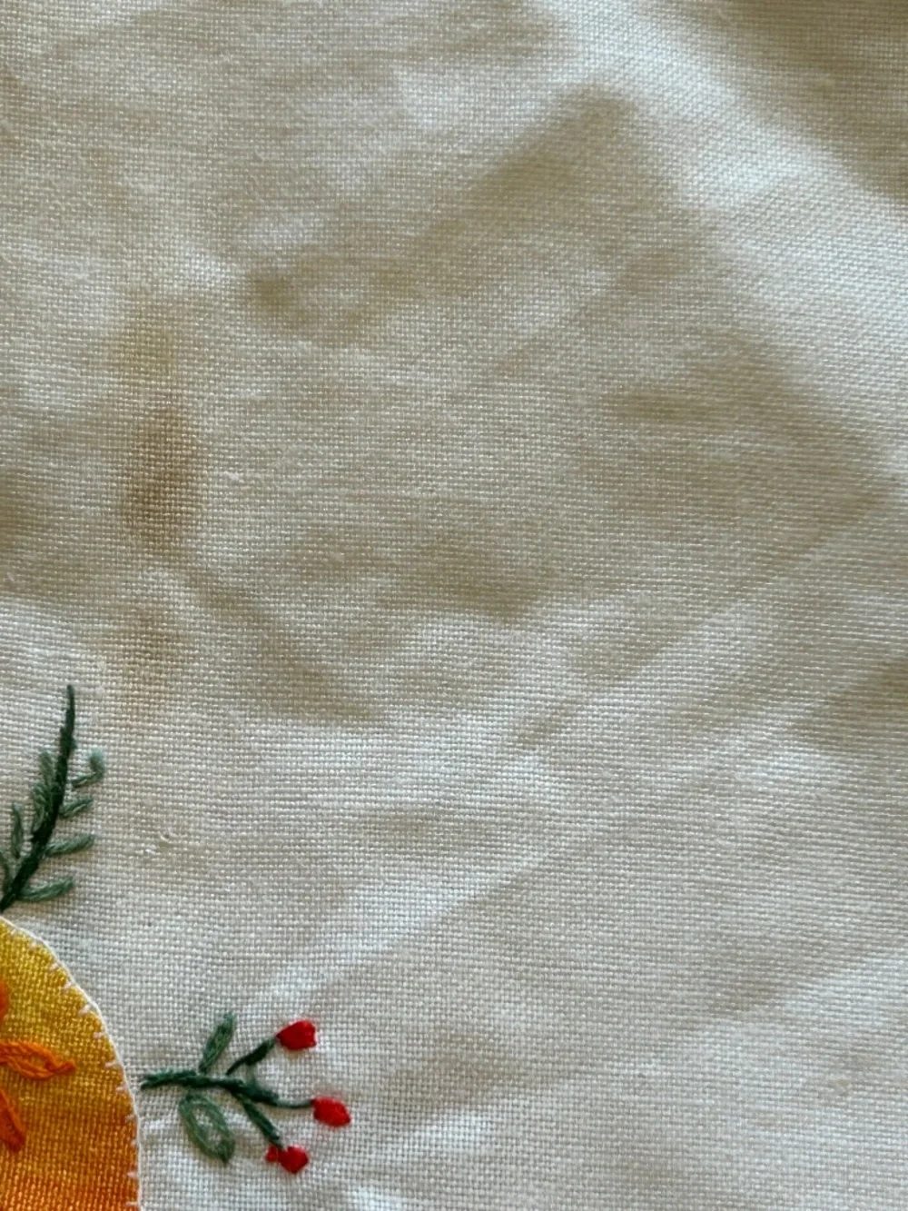 Vintage Fruit Theme Appliqué Placemat Napkin Set of 6  Scalloped Edge